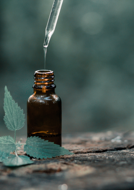 バリア機能を高め、乾燥知らずのお肌へと導く４つのアイテムをご紹介！