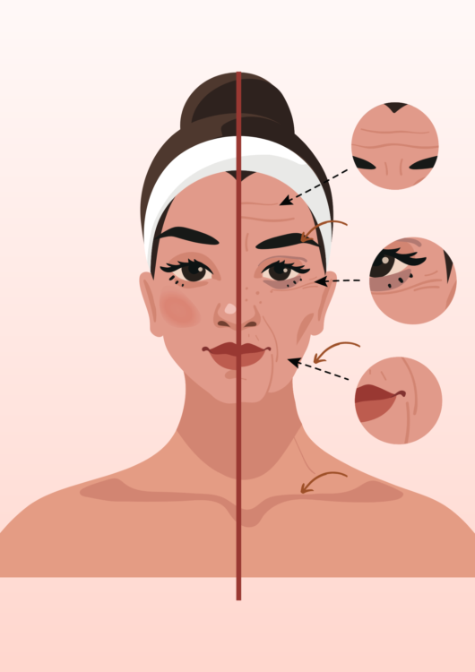 炎症と老化の関係性