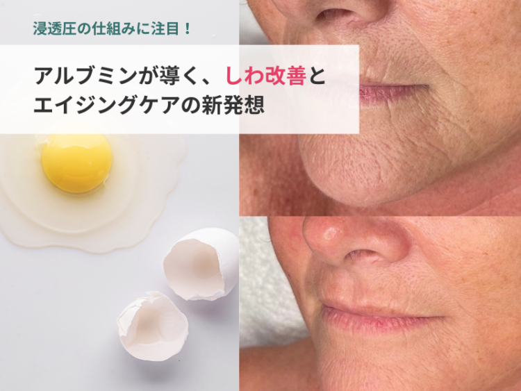 浸透圧の仕組みに注目！アルブミンが導く、しわ改善とエイジングケアの新発想