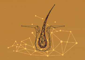 「ヘアロペーシア」が短期間で結果を出す理由｜女性の薄毛・分け目対策の新常識